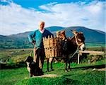 Traditionelle Bauer mit Esel, Glenbeigh, Co. Kerry, Irland