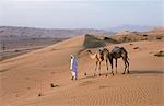 A Bedu leads his camels through the sand dunes in the desert