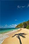 South Pacific,Fiji,Kadavu. Deserted beach on the west coast of Yaukuve Island.