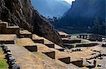 Terrassen in Ollantaytambo