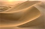 Tôt le matin sur les dunes de sable longeant la ville d'Ica, sur la côte sud du Pérou