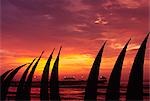 The setting sun paints the sky red,silhouetting totora (reed) boats stacked on the beachfront at Huanchaco,in northern Peru. The boats are the traditional craft of the local pescadores (fishermen).