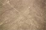 The 165 foot long Hummingbird,etched into the Pampa Colorada - one of the many of the figures of the mystical Nazca Lines.