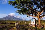 Philippines,Luzon Island,Bicol Province,Mount Mayon (2462m). Near perfect volcano cone with a plume of smoke with grotto and motorcycle in a field.