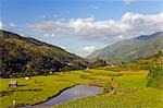 Philippines, île de Luzon, les montagnes de la Cordillère, Province de Kalinga, Tinglayan. Rizières en terrasses dans le village de Luplula.
