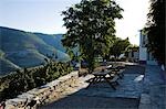 Portugal, vallée du Douro, Pinhao. La vue depuis le lodge sur la Quinta Nova de Nossa Senhora do Carmo immobilier dans la vallée du Douro, au nord du Portugal. Quinta Nova est l'un des quelques viticoles successions qui offre un hébergement de luxe.