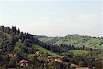 Rumänien, Siebenbürgen, Zarnesti. Sommer Weiden Weiden in den Ausläufern der Karpaten in der Nähe von Zarnesti.