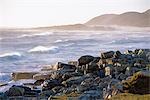 Sunset at Cape of Good Hope