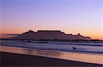 A dog runs out of the surf on a beach near Bloubergstrand with Cape Town and Table Mountain behind