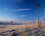 Blick nach Westen von Greenlaw Moor.