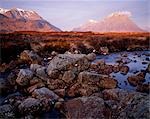 Felsen auf Rannoch Moor.