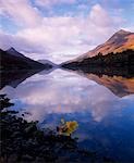 Oak leaf on Loch Leven