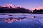 Un loup noir promenades le long du rivage glacé d'une rivière dans la forêt Tongass Alaska avec alpenglow sur les pics environnants, COMPOSITE