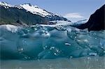 Recently calved from the terminus of Mendenhall Glacier in Mendenhall Lake, an iceberg reveals the blue ice glaciers are so well known for.