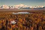 View of a Cessna 185 floatplane in flight with Mt. McKinley in the background, Southside, Southcentral Alaska, Fall