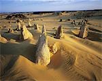 Formations de roche dans le désert