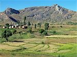 Rizières et un hameau Betsileo près d'Ambalavao, Madagascar