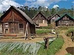 Les Zafimaniry village d'Ifasina où les maisons sont faites de bambou tissé ou bois (le plus proche de la maison sur la gauche). Le Zafimaniry sont réputés pour leur travail du bois et la sculpture.