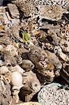 Mali,Bamako. A market stall in Bamako selling skulls of wild animals,birds,skins and cowrie shells for medicinal purposes and other traditional beliefs.