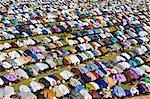 Mali,Mopti. A huge gathering of brilliantly dressed Muslim men pray to Allah at an open-air service to commemorate the end of the Muslim holy month of Ramadan. This celebration is known as Idd el Fitr.