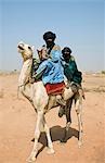 Mali, Timbuktu. Coureurs de chameau Touaregs près de Tombouctou.