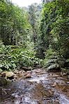 Trekking and Hiking in the rainforests of Borneo,a river crossing in the Crocker Range,Sabah