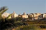 Malta,Mdina. View over the surrounding fields to the ancient walled city of Mdina.