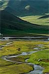 Mongolei, Steppengebiet. Herders Sommer Camp von einem Fluss.