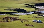 Steppe de la Mongolie. Camp d'été éleveurs par une rivière.