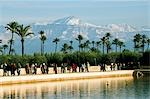 Neige et bassin d'eau jardin Menara palmiers Capped montagnes