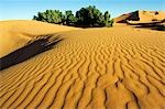 Merzouga Erg Chebbi Sand Dunes Ripple patterns
