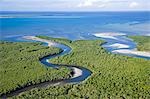 Magrove forests line the coast north of Pemba beside the Quirimbas Archipelago,Mozambique