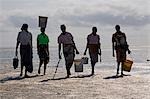 Mosambik, Inhaca Island. Lokale Damen tragen ihren Fang Muschel in den frühen Morgenstunden bei Ebbe am Strand auf der Westseite der Inhaca Island. Inhaca Island ist die größte Insel im Golf von Maputo und liegt 24 km vom Festland entfernt.