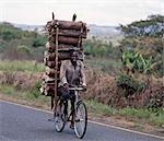 Wood sellers carry heavy loads of wood on their bicycles to sell in nearby urban centres where many people still cook on firewood or charcoal..