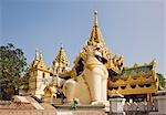 Myanmar, Burma, Yangon. Chinthe (halb Löwe, halb Drache Wächter) am Eingang zum Shwedagan Goldener Tempel, das größte und am meisten Angst aller buddhistischen Seiten.