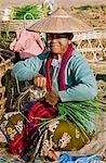 Myanmar,Burma,Lake Inle.A woman bundles fresh spring onions at the popular Phaung Daw Oo market where all kinds of farm produce are sold.