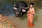 Myanmar, Birmanie, lac Inle. Une femme lave son favori buffles d'eau dans un cours d'eau à Indein.