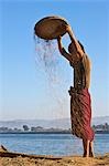 Myanmar, Birmanie, Lay Mro River. Un agriculteur de Rakhine vannes riz pour enlever la paille sur les rives du fleuve Lay Myo.