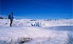 Glacier de randonnée, Kongsfjorden.