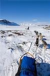 Norway,Troms,Lyngen Alps. Travel over the mountains of the Lyngen Alps via dog sled guided by veteran explorer Per Thore Hansen. .