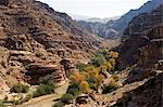 Jordanie, montagnes de Shara. Les vallées arides reliant le plateau central vers la vallée de la mer morte fournissent l'eau et excellents sentiers de randonnée à travers la barrière de montagnes autrement infranchissables de survie.