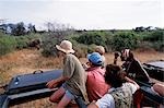 Une famille safaris d'un landrover pendant un safari mobile Cheli & paon.