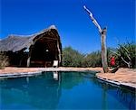 Swimming pool at Il Ngwesi Camp,Laikipia.