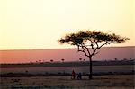 Sundowner in der Mara Mara Camp Cheli & Peacock die Gäste.