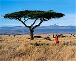 Kenya,Mount Kenya,Lewa Downs. Maasai warrior at Lewa Downs with Mount Kenya in background.