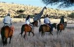 Guests view game from horseback at Wilderness Trails,Lewa Downs.