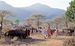 Ein Manyatta Samburu oder Homestead, in den frühen Morgenstunden.