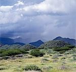 A rare rainstorm lashes the foothills of Mount Nyiru,a scenic region of semi-arid thorn scrub vegetation.