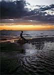 Comme le soleil se lève sur le lac Turkana, un pêcheur solitaire de Turkana est assis sur ses paniers de pêche traditionnelle en attendant l'arrivée de ses compagnons avant de pêcher les eaux peu profondes pour le tilapia.