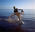With his traditional fishing basket poised,a Turkana fisherman rushes to catch a tilapia in the shallow waters of Lake Turkana. The conical shaped basket,three to four feet wide at the mouth and made from pliable sticks and twisted doum palm fronds,has a small flap at the top of the cone through which trapped fish are removed.